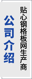 公司簡(jiǎn)介